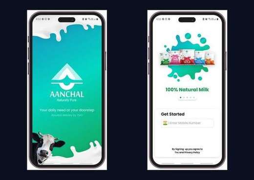 Aanchal Milk App — UI/UX Case Study PDF